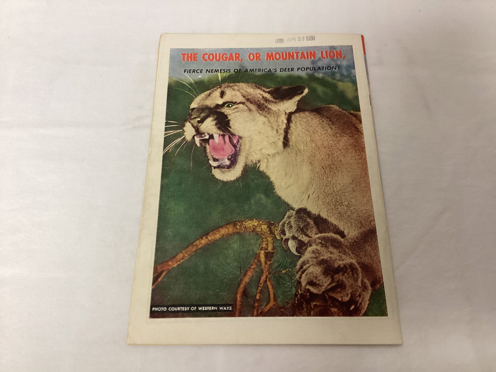 Bob Swift Boy Sportsman 2 Fawcett Comic Book - 8