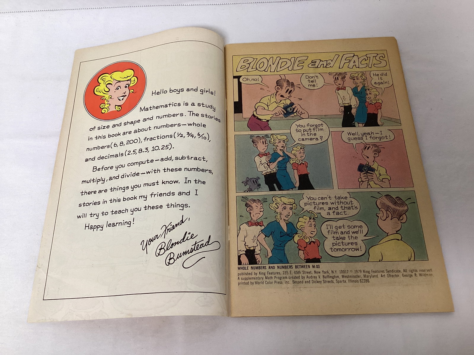 King Comics Teach Whole Numbers and Numbers Between Comic Book - 6