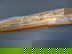 item-209022763=7