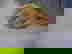 item-7630980=2