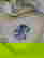item-7630980=4
