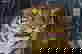 item-7631300=4