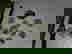 item-7631557=2