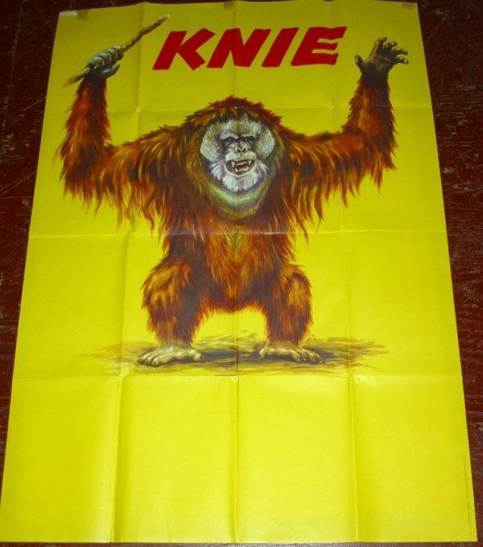 CIRCUS POSTER: 1960'S LARGE KNIE ARANGATANG CIRCUS POSTER. WRITTING ON BACK - TINY PHILLIPS; RETURN ADDRESS LABEL AT TOP; FOLDED CREASES; TAPE AT TOP; MINOR HOLES AT FOLD. 50 INCHES X 35 1/2 INCHES.