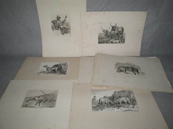 ENGRAVINGS: 60 19TH C ENGRAVINGS BY JOHANN ADAM KLEIN 1792-1875. FOXING; CREASES. 13 1/2 INCHES X 9 1/2 INCHES.
