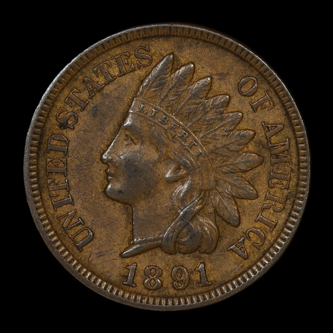 1891 Indian Head Cent Penny Great Type Coin (1 of 2)