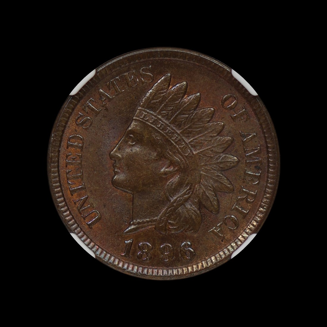 1896 Indian Head Cent NGC MS 64 BN UNDERGRADED: (PEJM) Hardly any marks at all. Very lustrous for a brown coin. Worthy of a 65.
