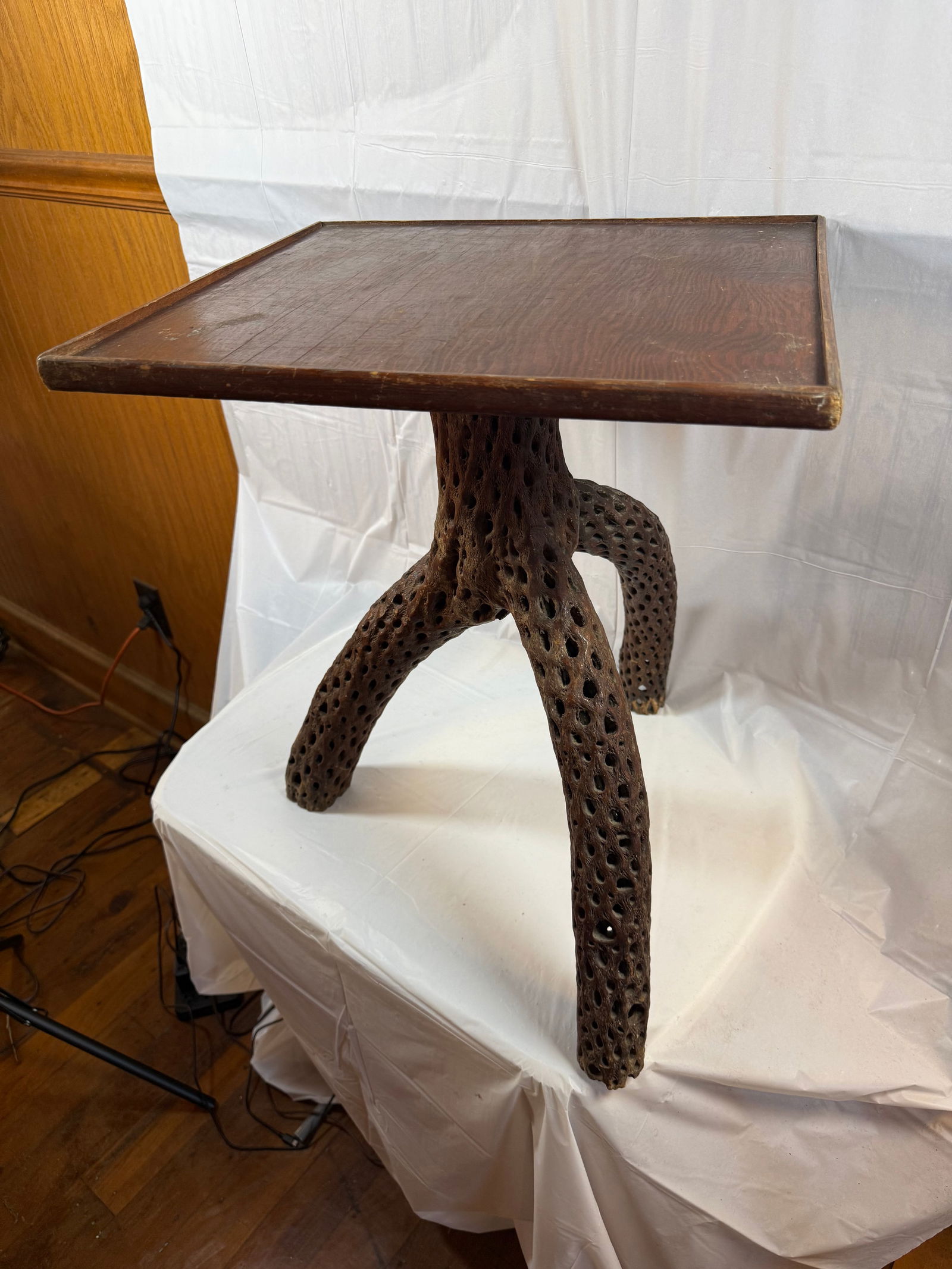 Cactus skeleton table: Cactus skeleton table