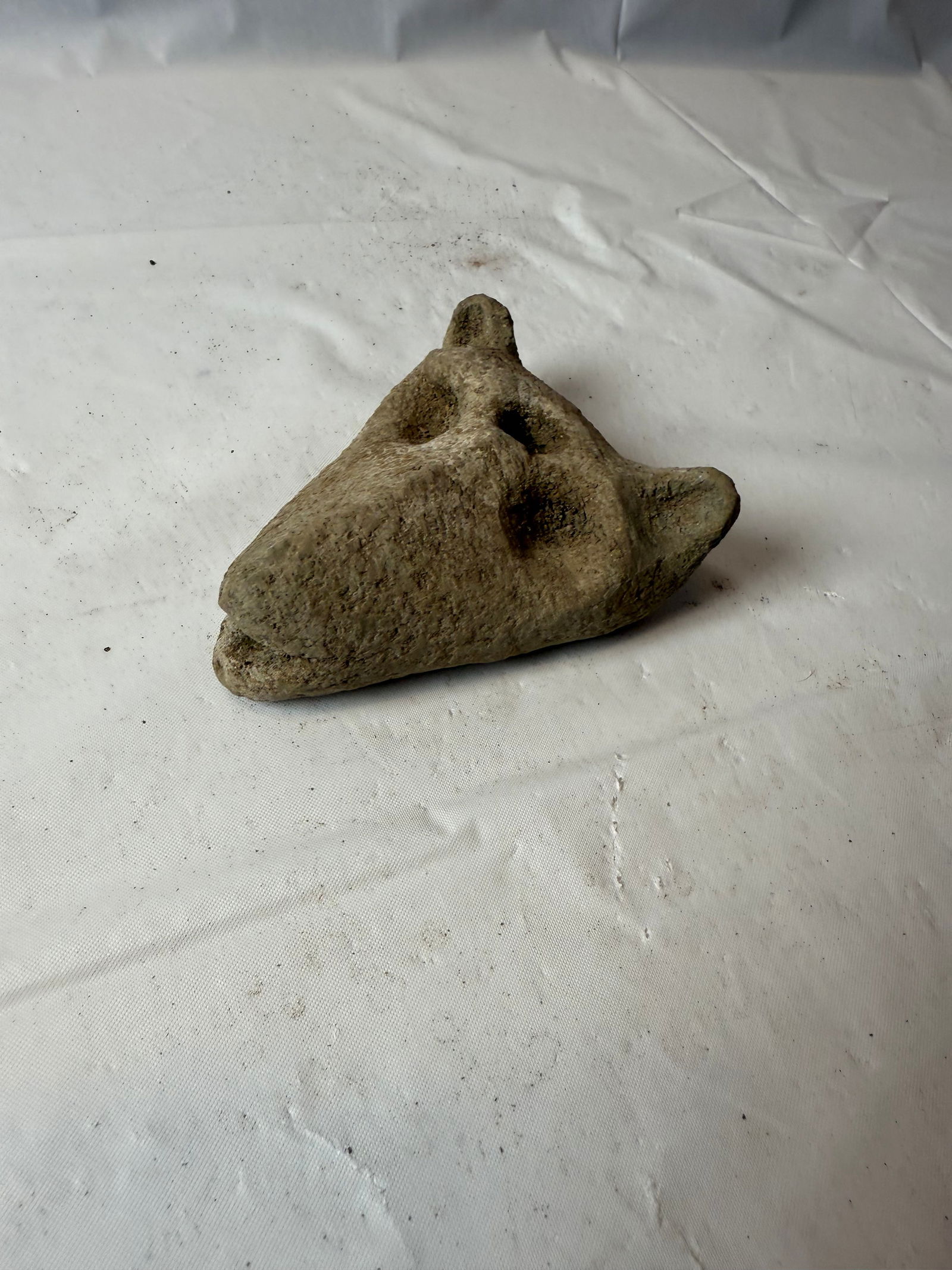 Pre-Columbian Carved Wolf Head (1 of 1)