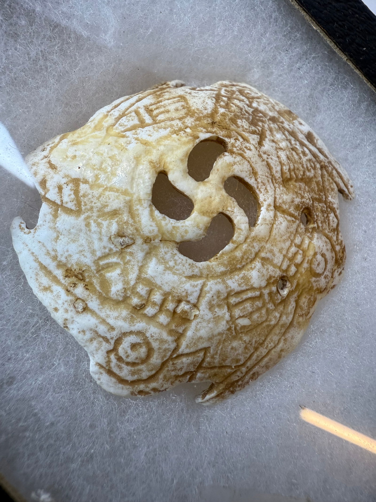 Native American Gorget (1 of 1)