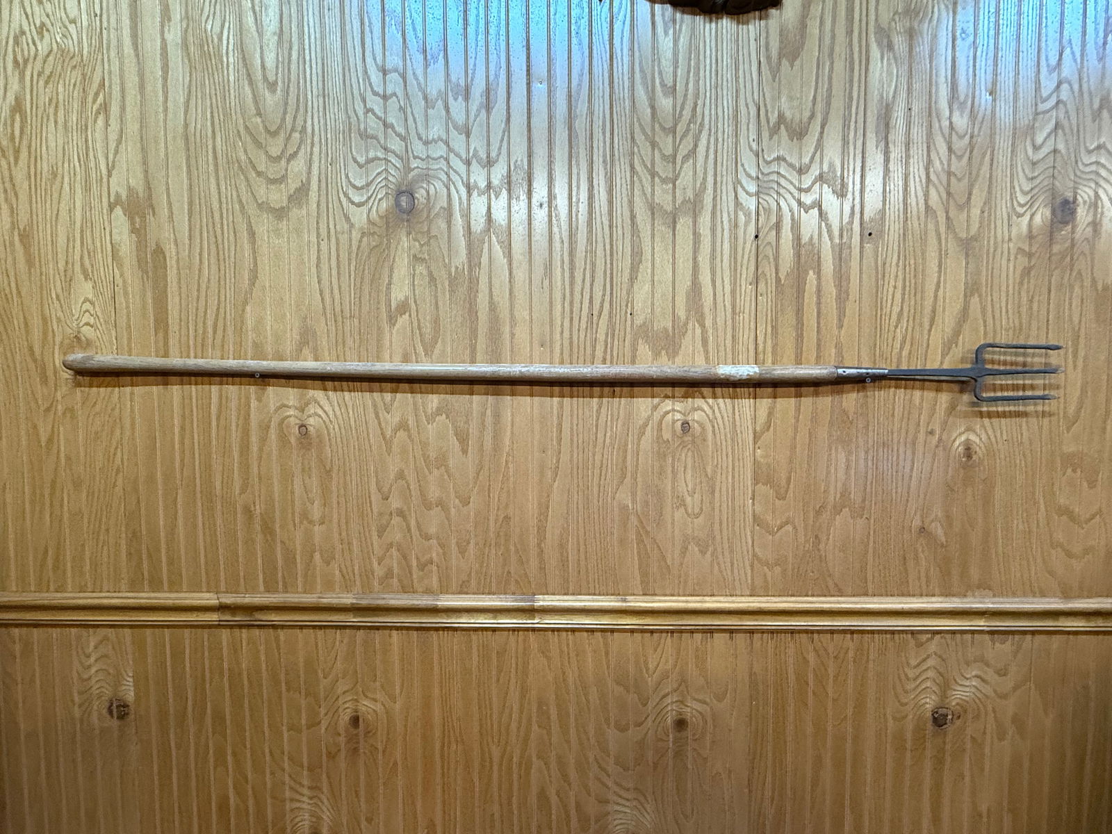 Early Fish/Eel Spear Gig (1 of 1)