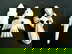 item-208763896=1