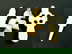 item-208763896=2