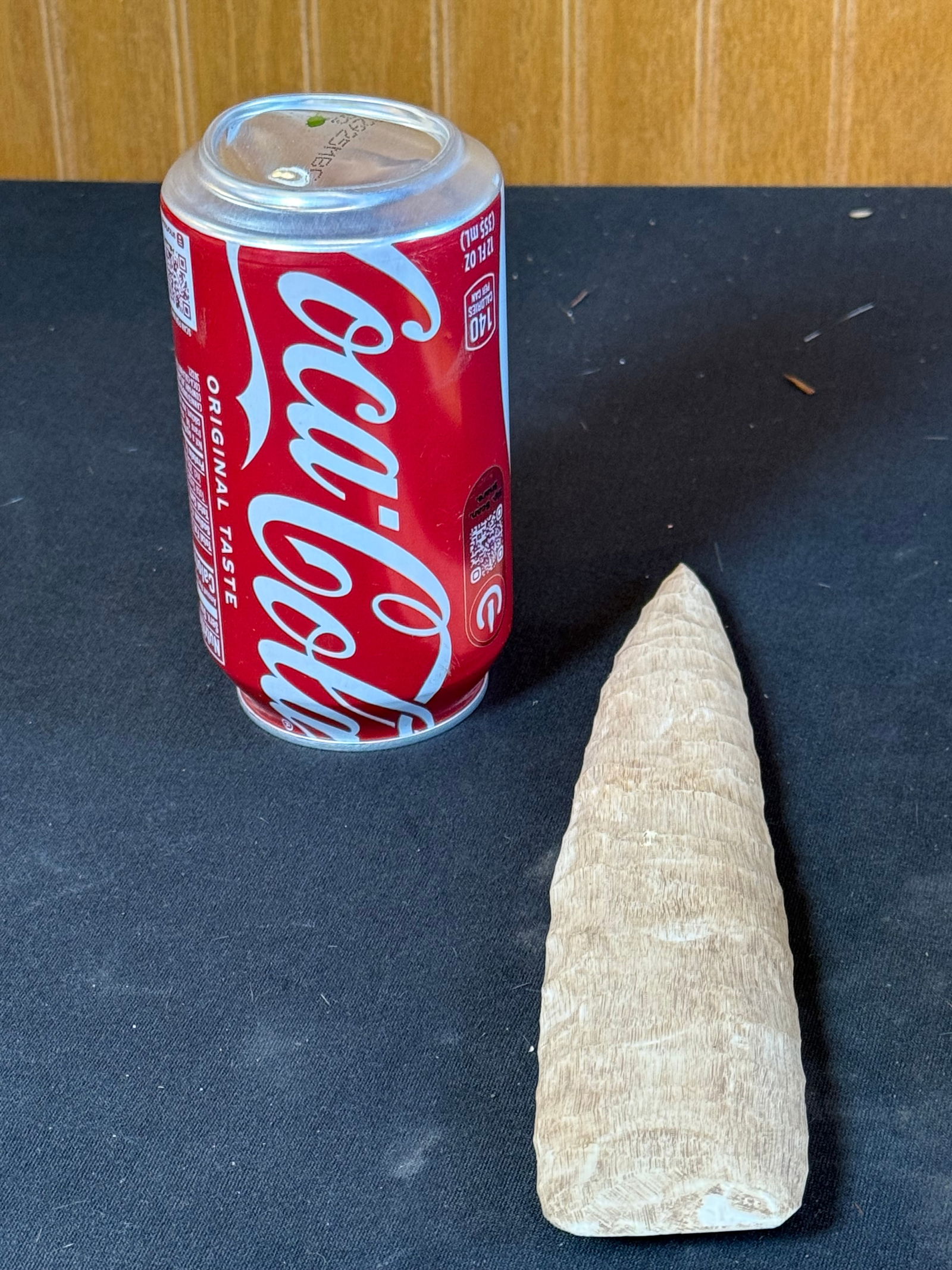 Bone arrowhead: Bone arrowhead