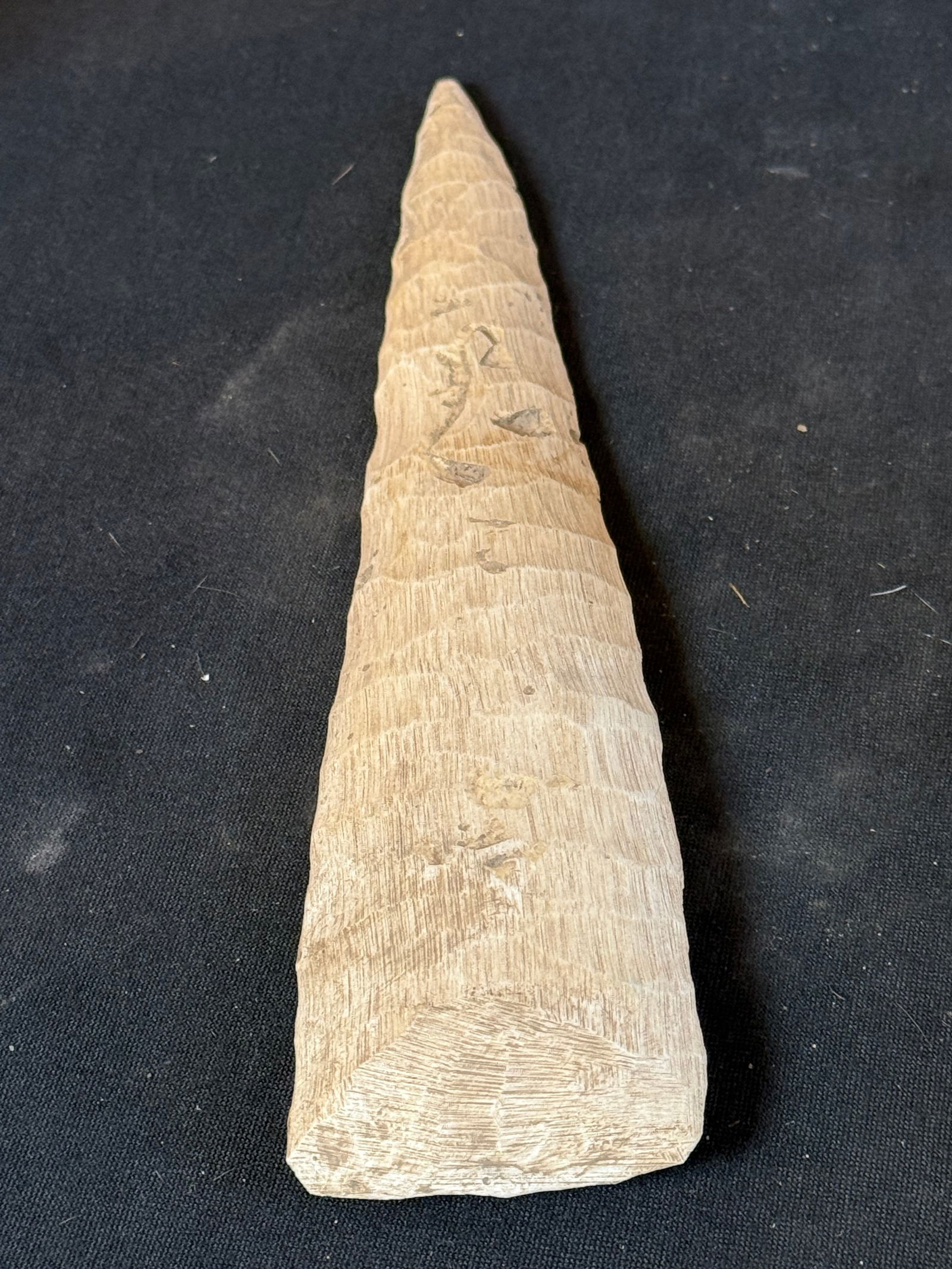 Native American bone arrowhead: Native American bone arrowhead