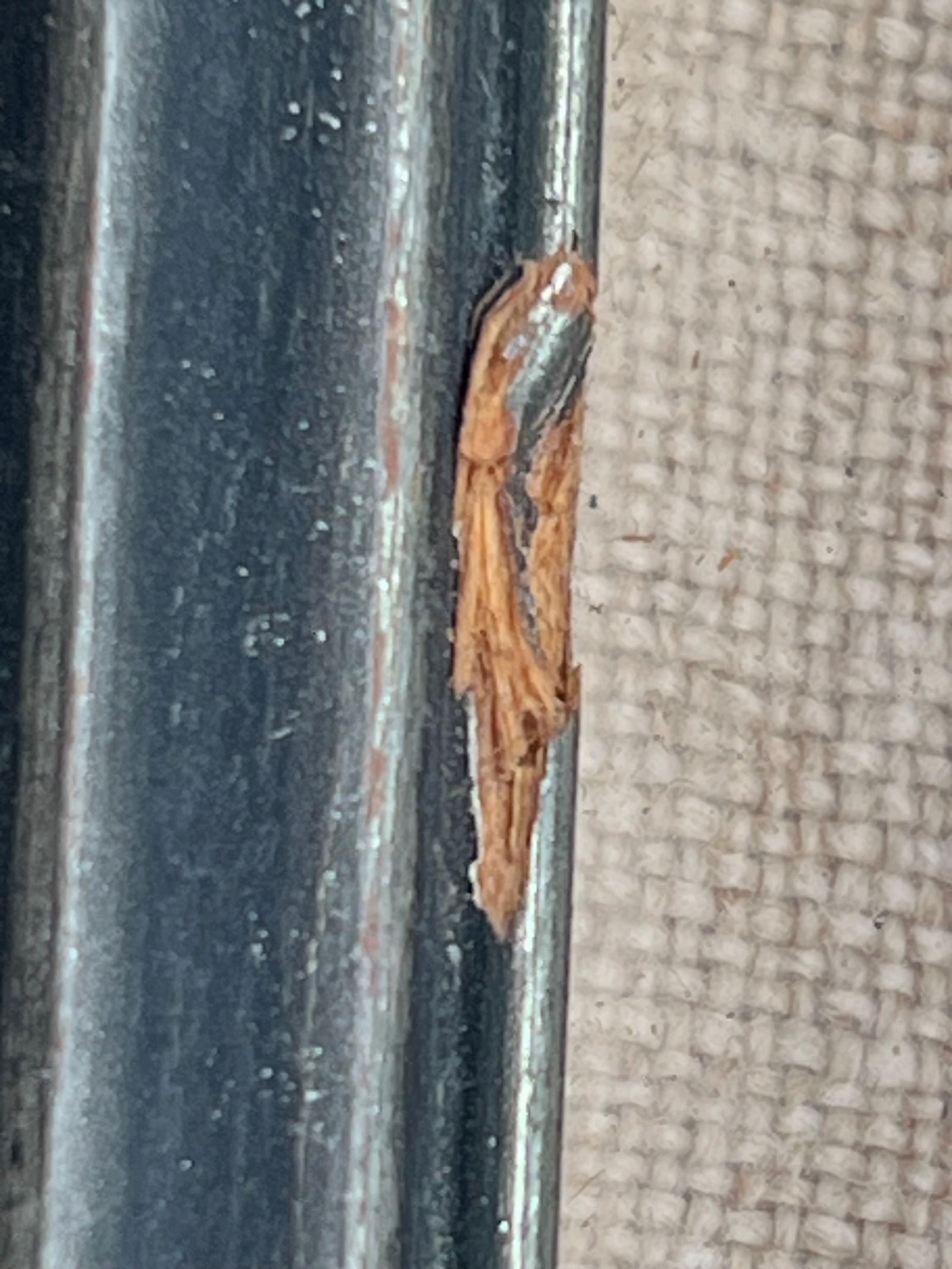 Early Needlepoint in Frame - 3