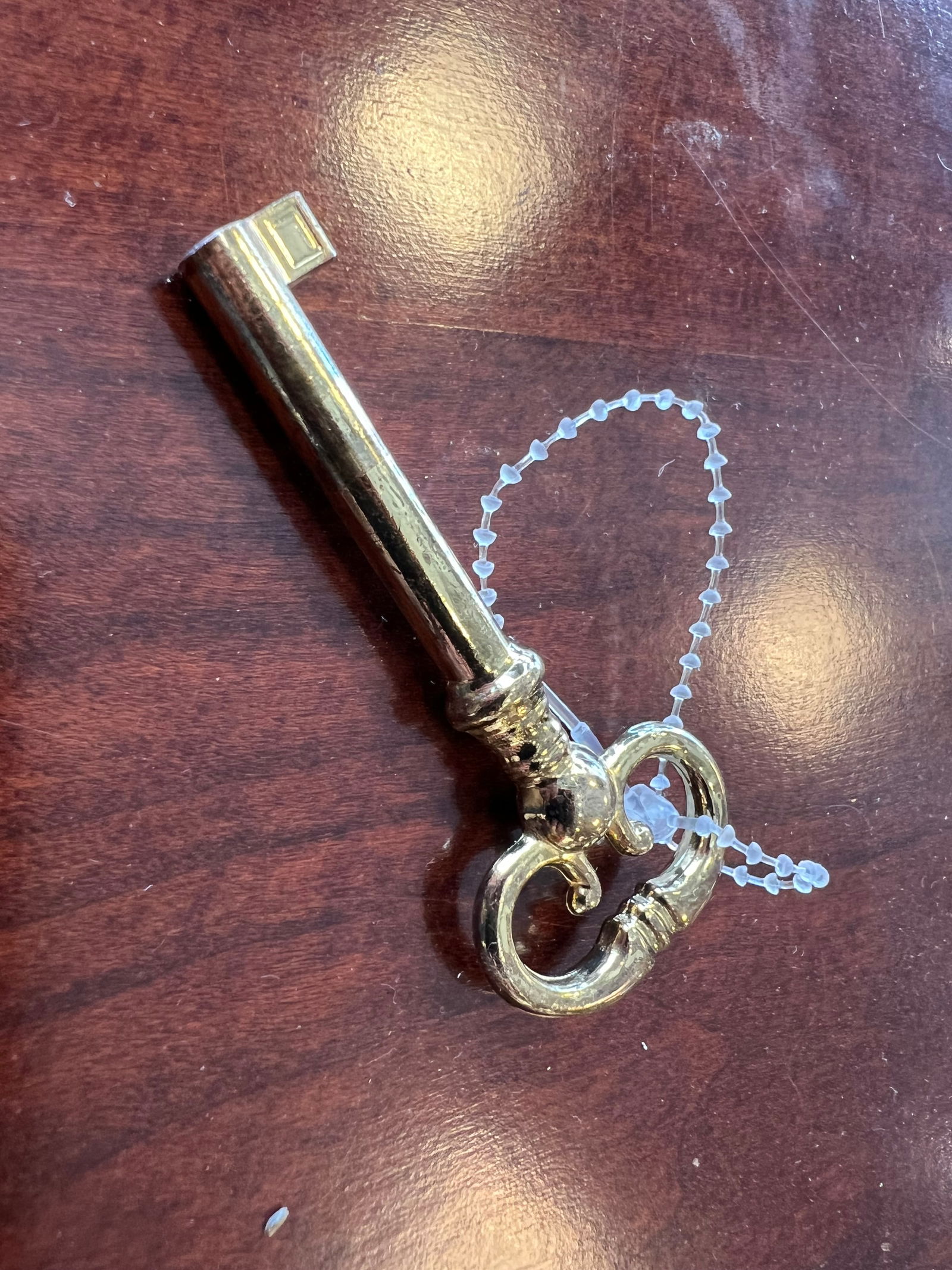 Large Walnut Display Case - 5