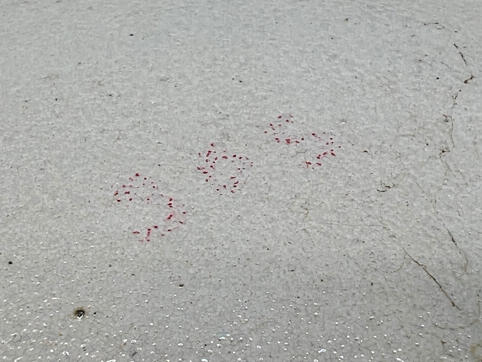 Blue/Gray Wall Plaque with Hook - 6