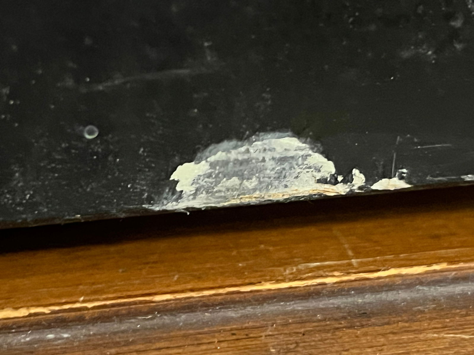 Early Bunny Trunk - 10