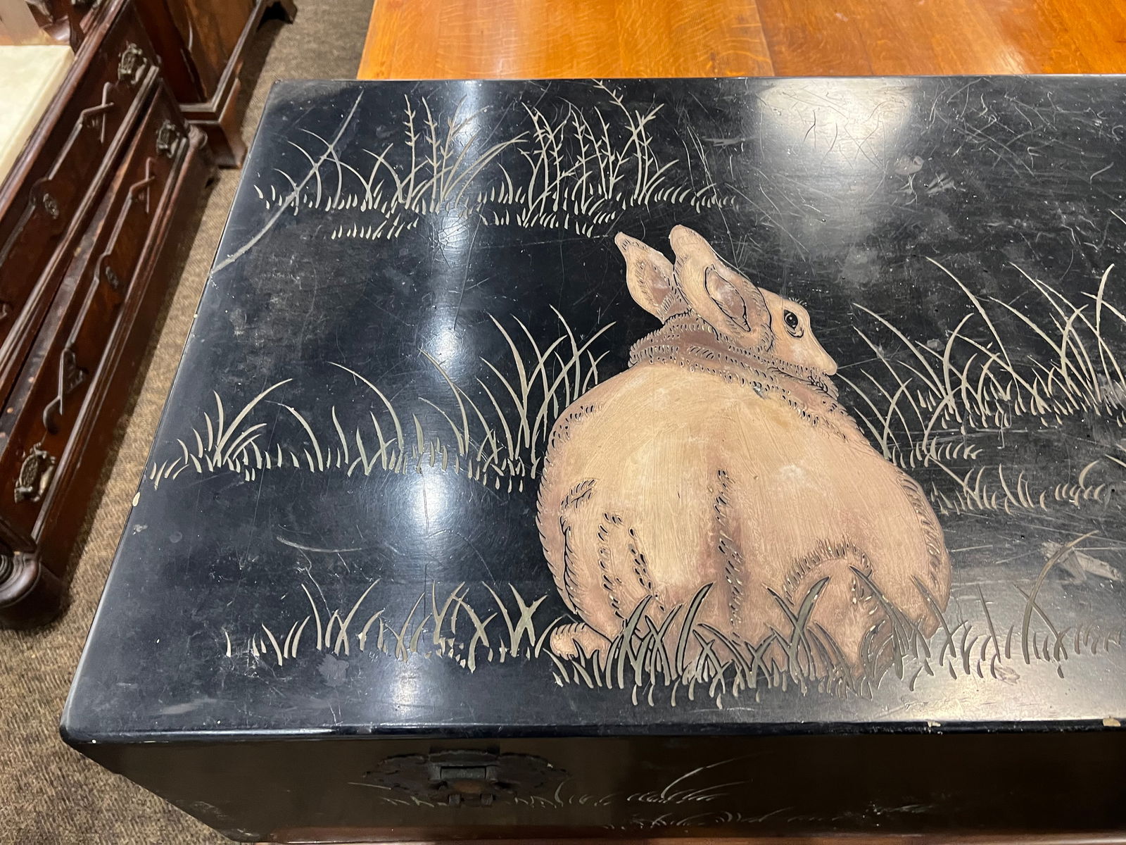 Early Bunny Trunk - 4