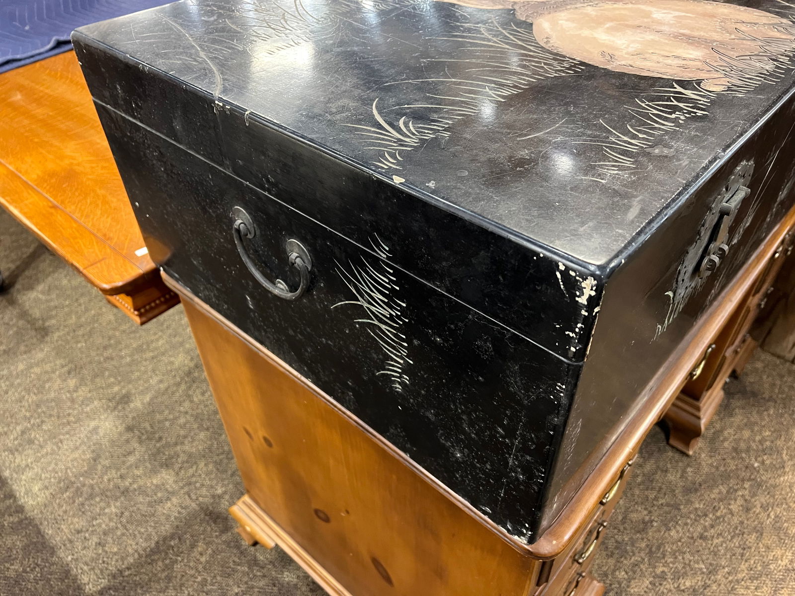 Early Bunny Trunk - 6