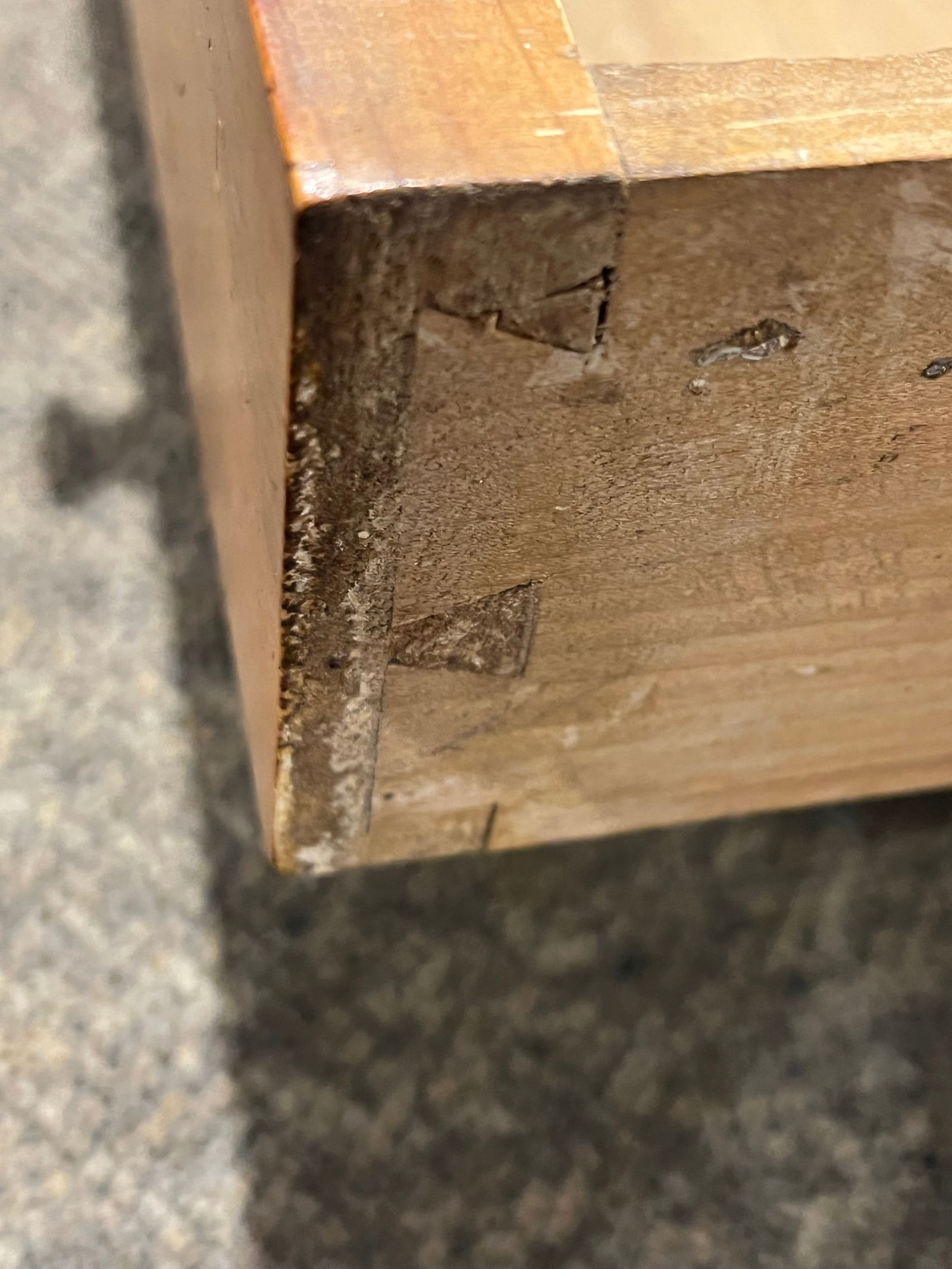 Early Pine Storage Chest - 5