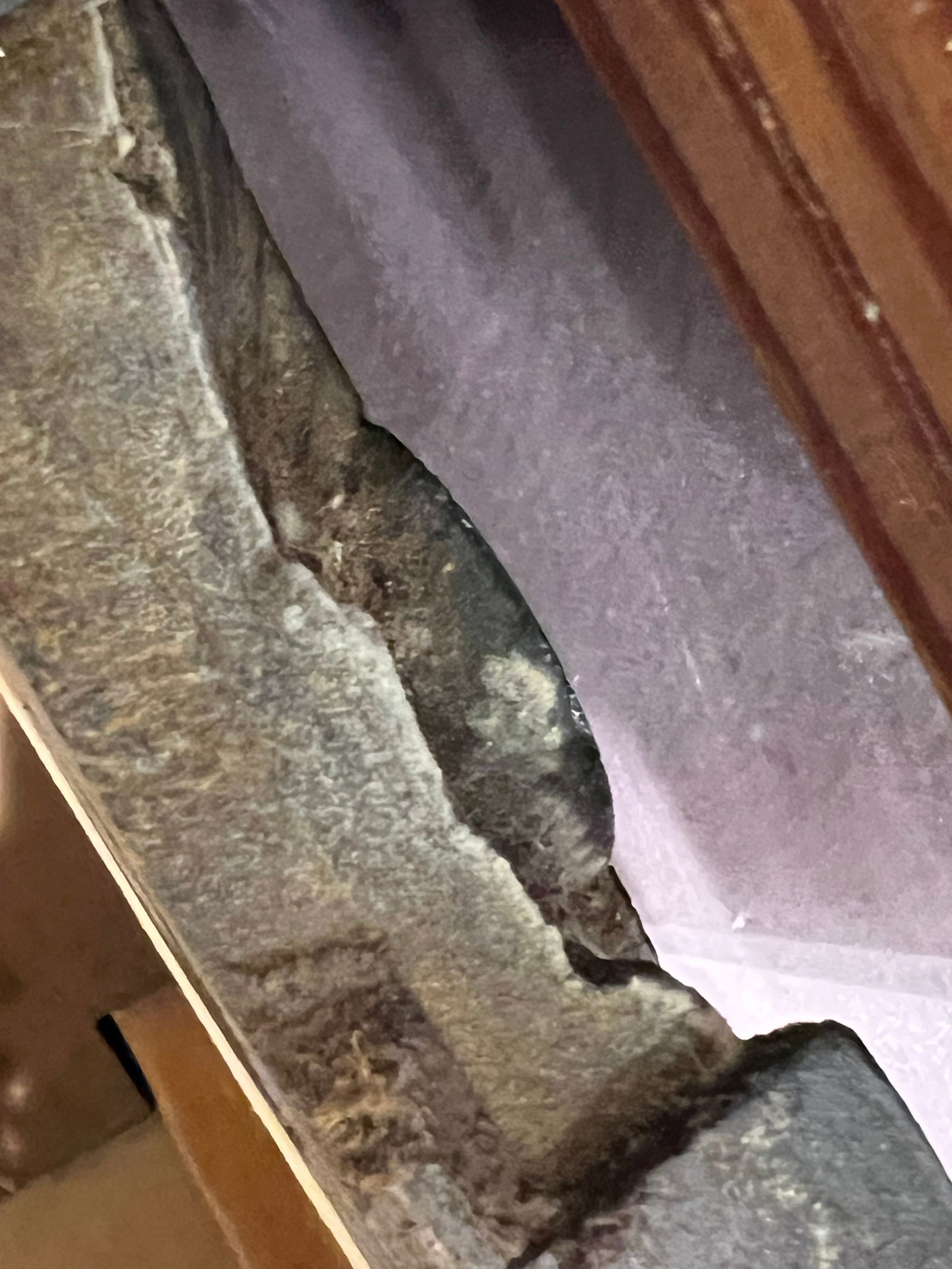 Early Pine Storage Chest - 6