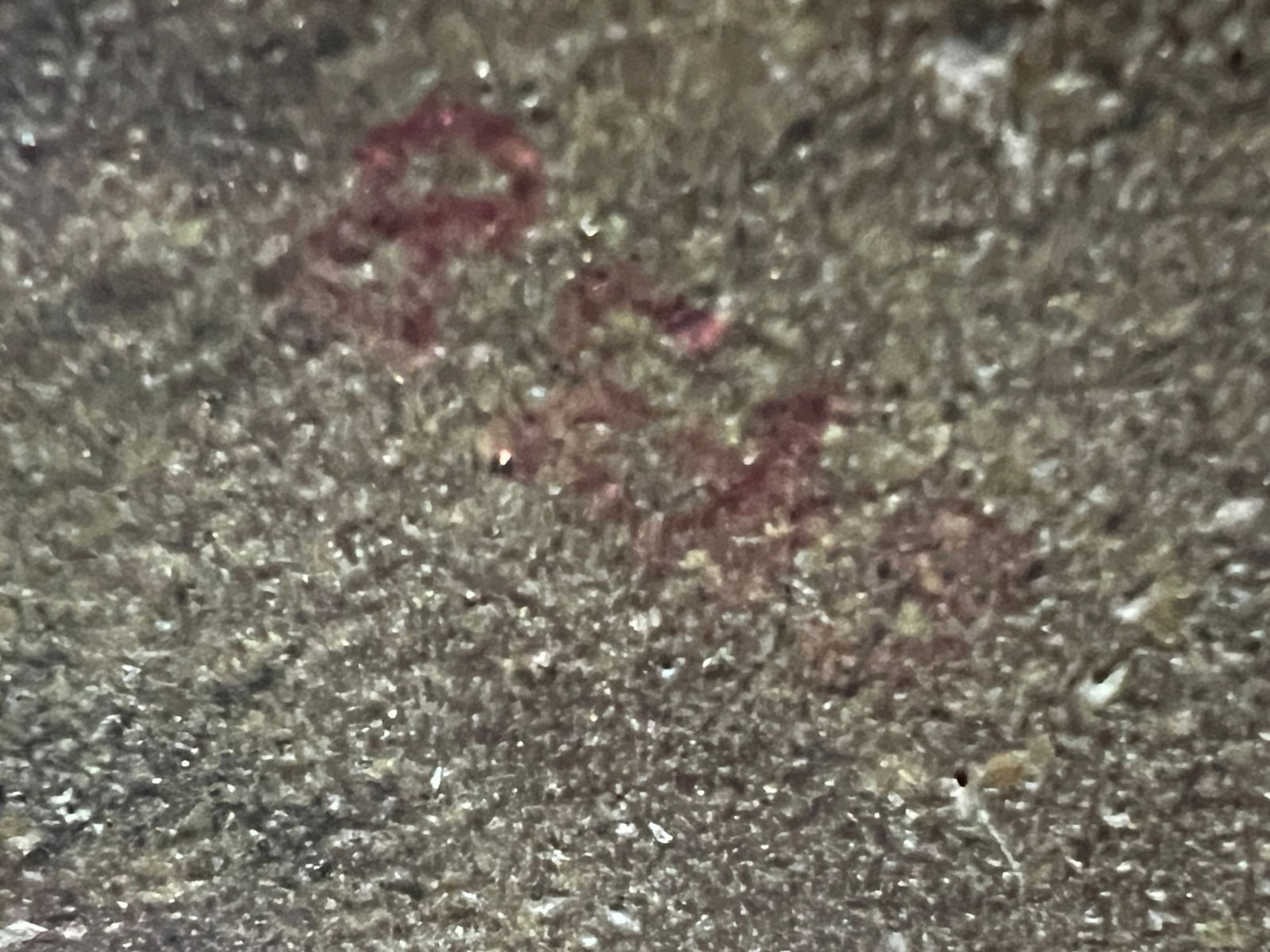 Brown Stopneware Jug - 8