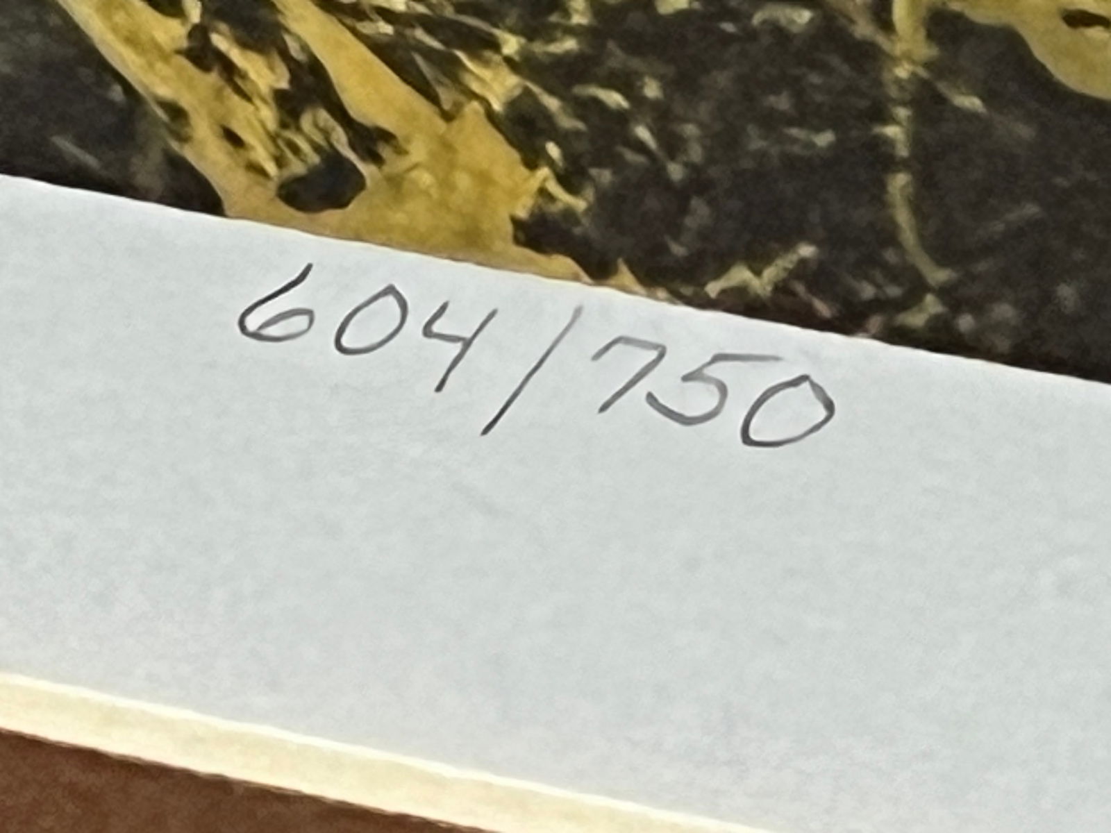 Signed Ray Swanson Print - "Little Apache" - 5