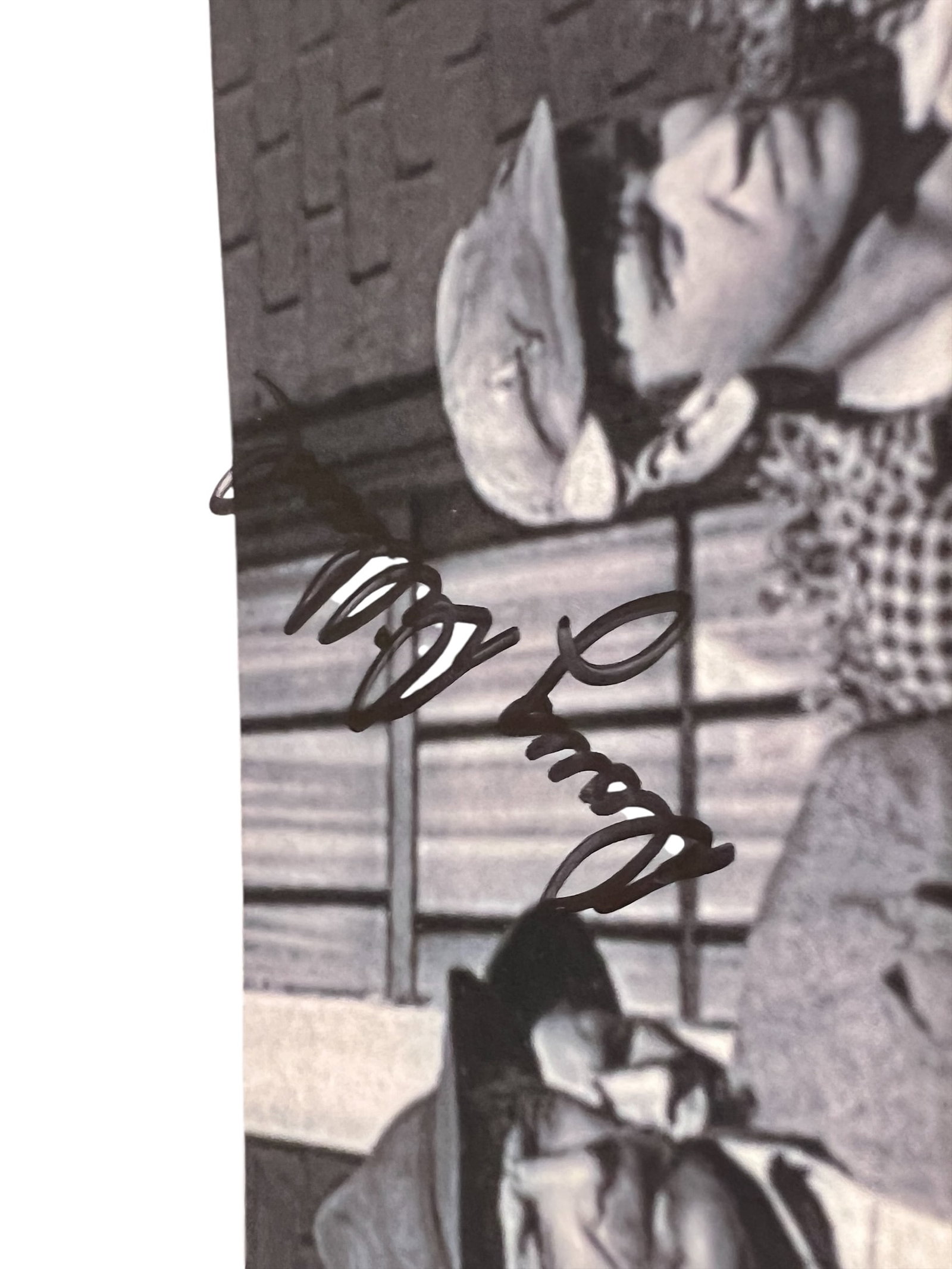 Signed Photograph - 2