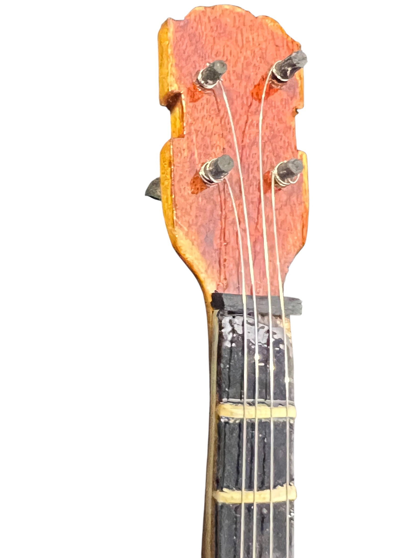 Doug Dillard Autographed Miniature Banjo Display – The Darlings of Mayberry - 5