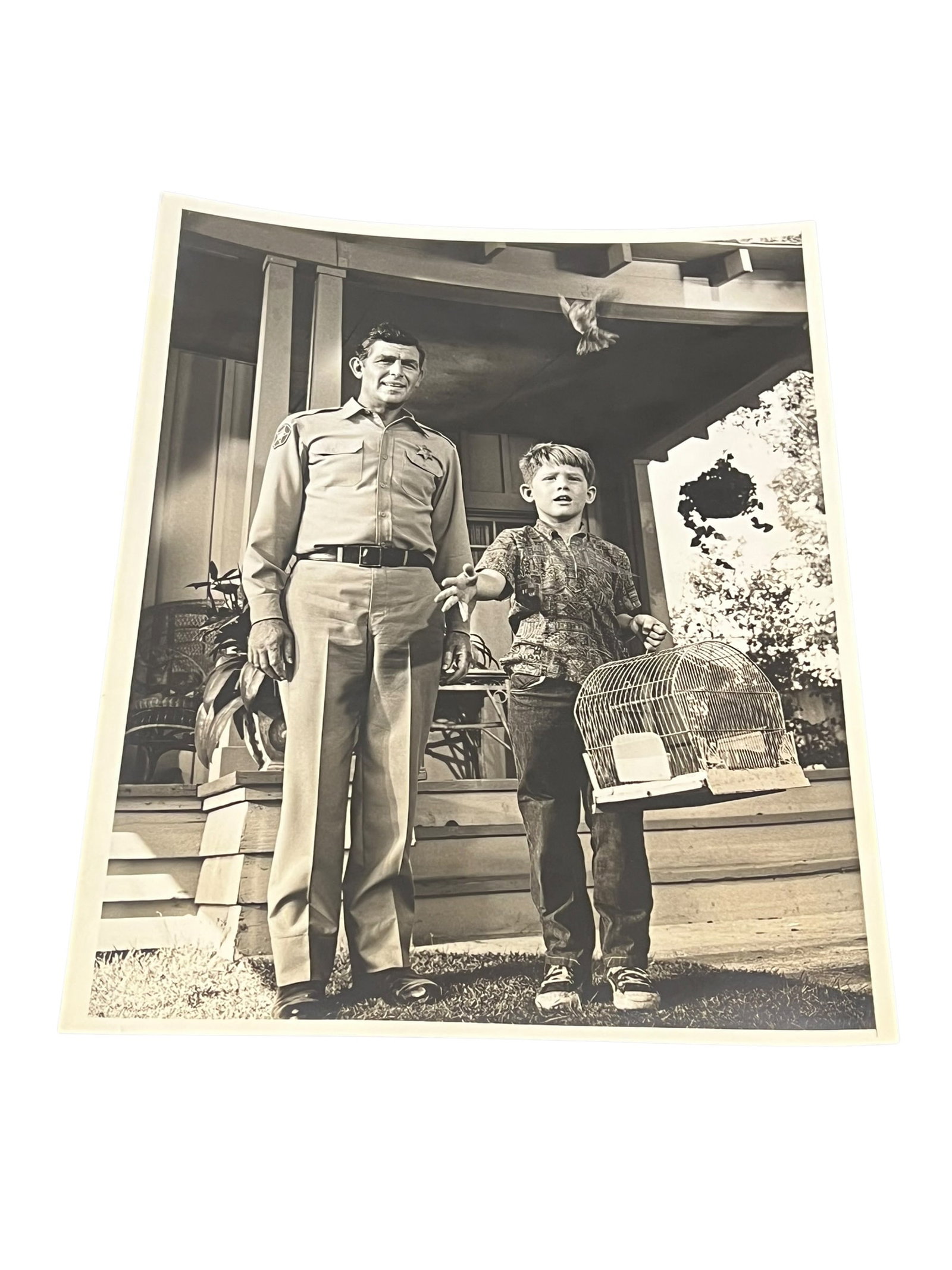 The Andy Griffith Show Still Press Photograph: This original vintage television press photograph was produced and distributed for promotional and publicity purposes during the original broadcast era of The Andy Griffith Show. Such photographs were