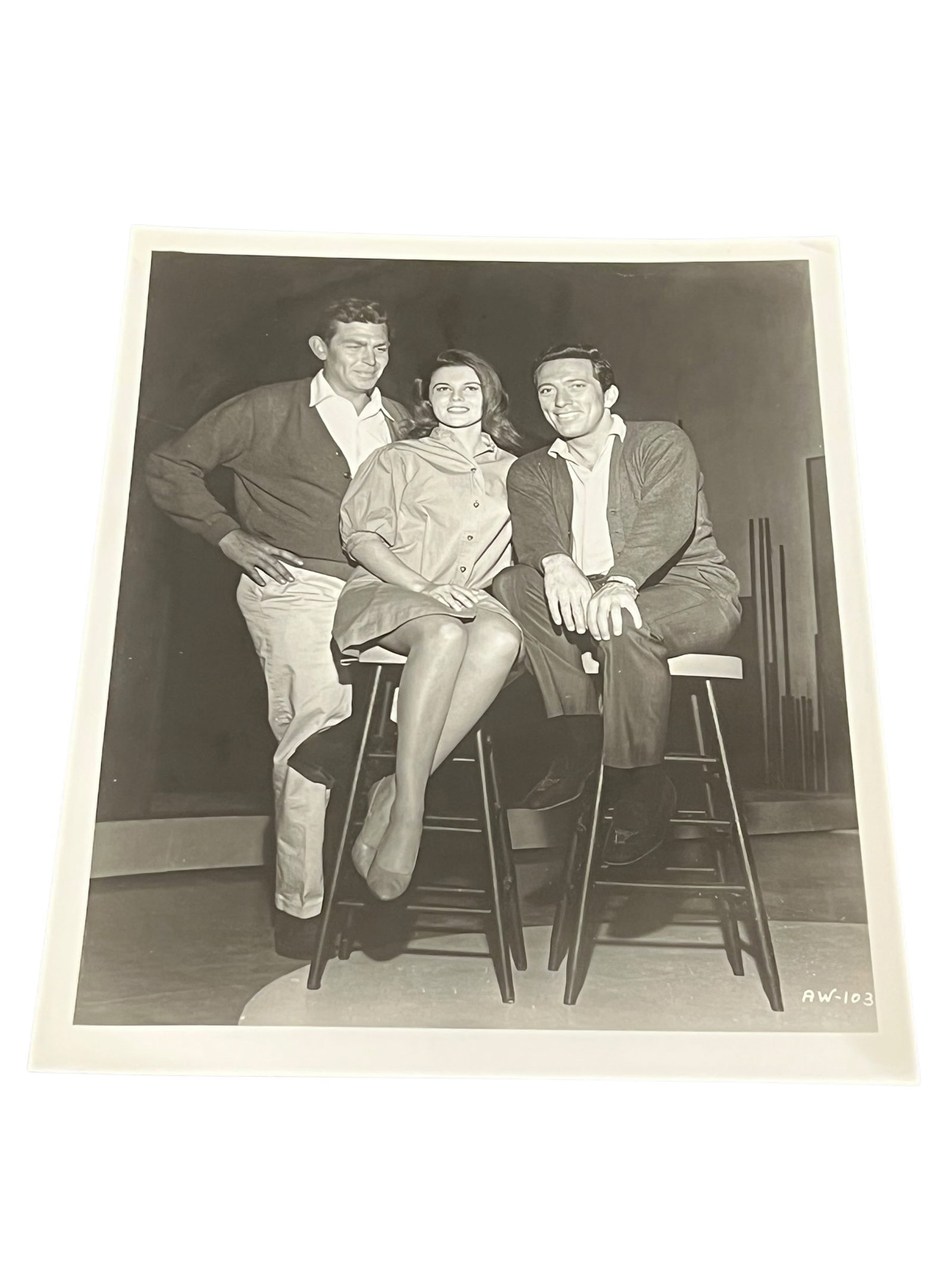 The Andy Griffith Show Press Photograph: This original vintage television press photograph was produced and distributed for promotional and publicity purposes during the original broadcast era of The Andy Griffith Show. Such photographs were