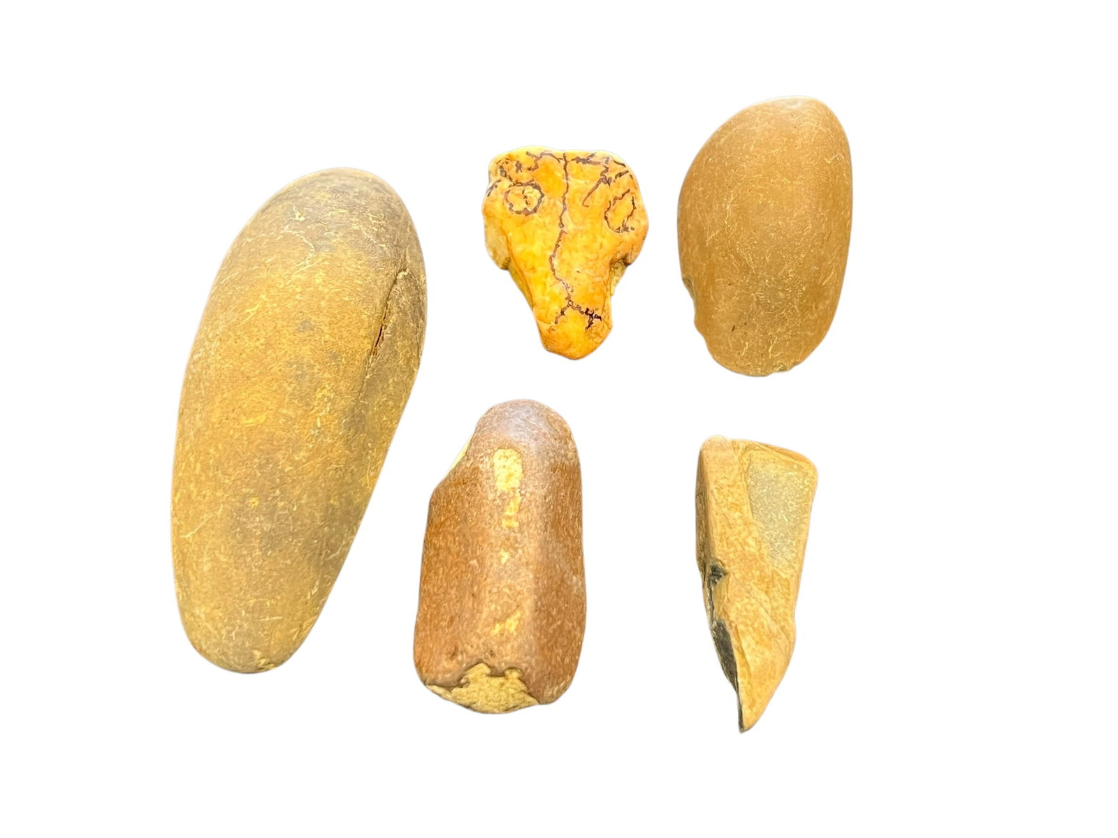 Lot of 5 Native American Artifacts: These items appear to be Bumblebee Boulders, which are natural, rounded river stones featuring yellow-ochre tones.They are often used for aquascaping to create natural-looking, warm river layouts in t