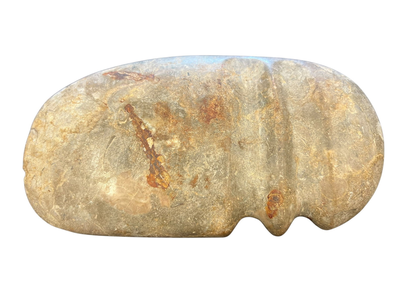 Native American Double Grooved Axe Head - 3