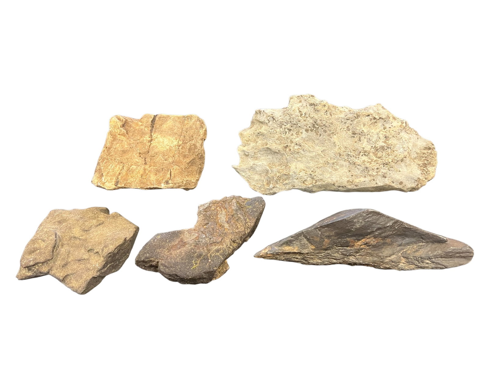 Lot of 5 Native American Artifacts: This collection showcases an assortment of rough, sedimentary geological specimens, featuring notable varieties of chert and stromatolite formations. [1]Specimen BreakdownBased on their color,