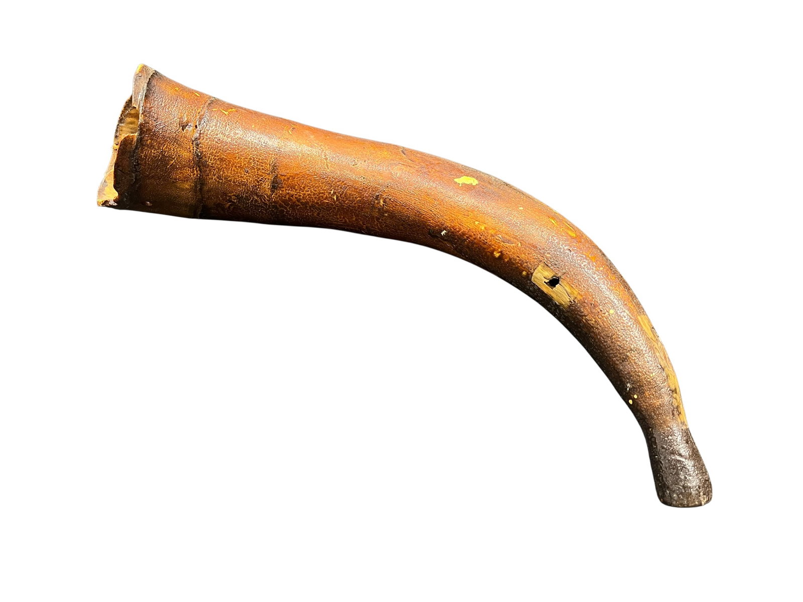 Powder Horn: The selected object is an 18th-century antique carved cow-horn powder horn, commonly used during the Colonial and Revolutionary War eras to safely store and dispense dry black powder for flintlock