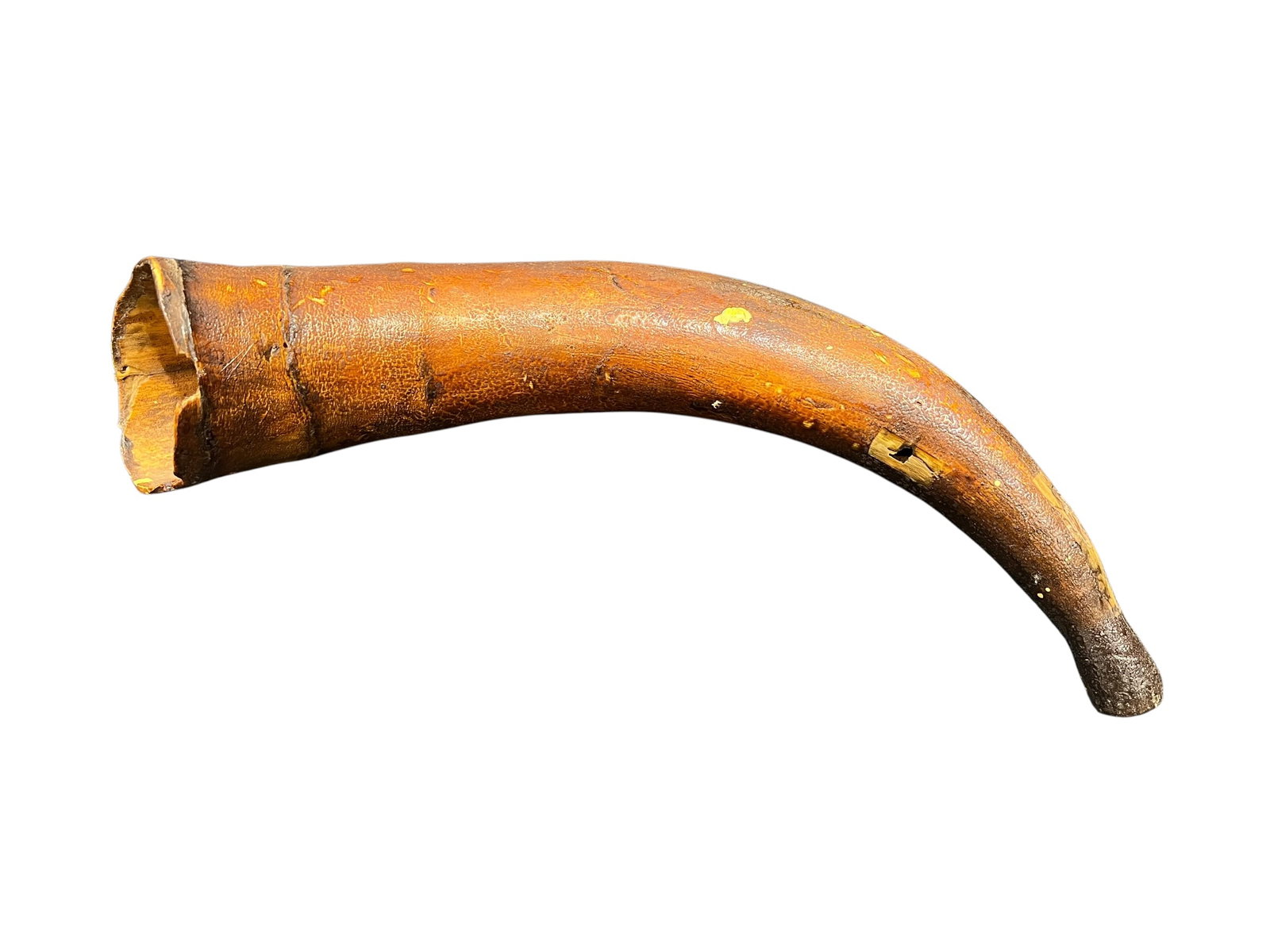 Powder Horn - 2