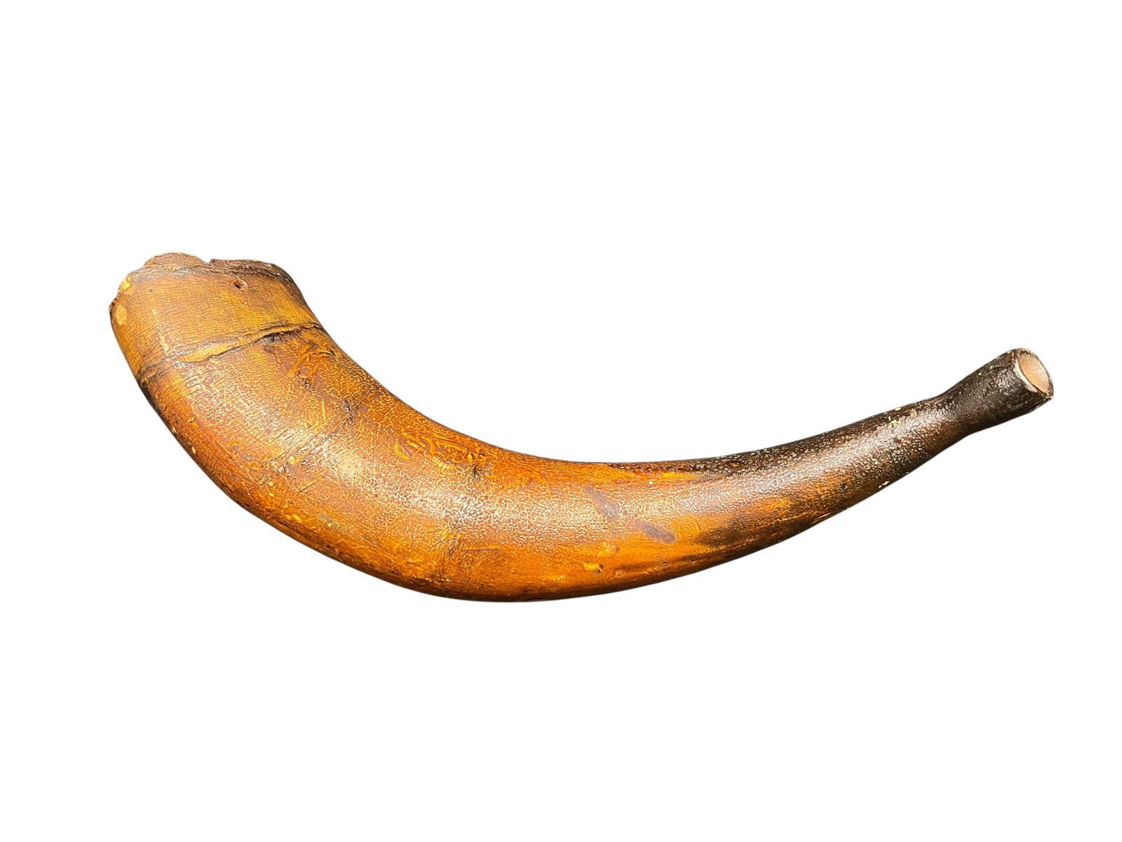 Powder Horn - 3