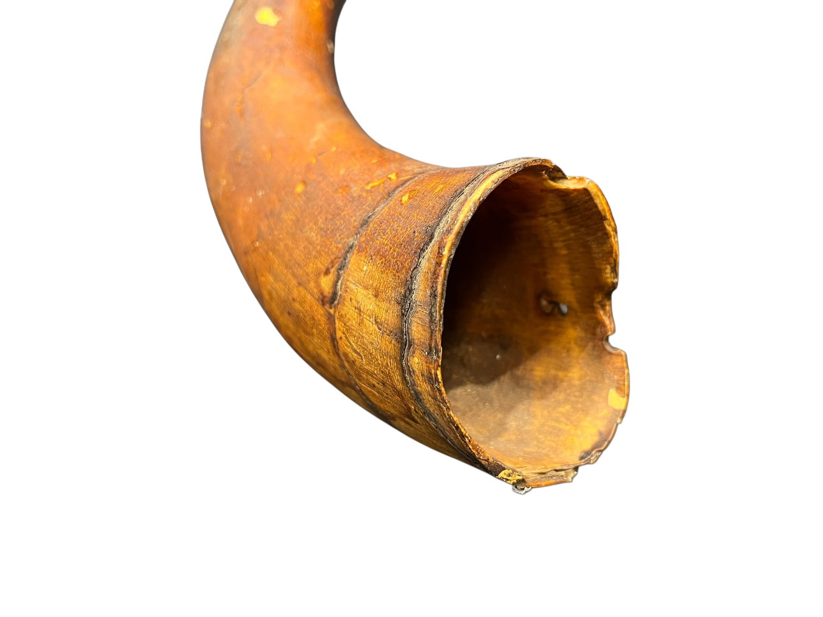 Powder Horn - 5
