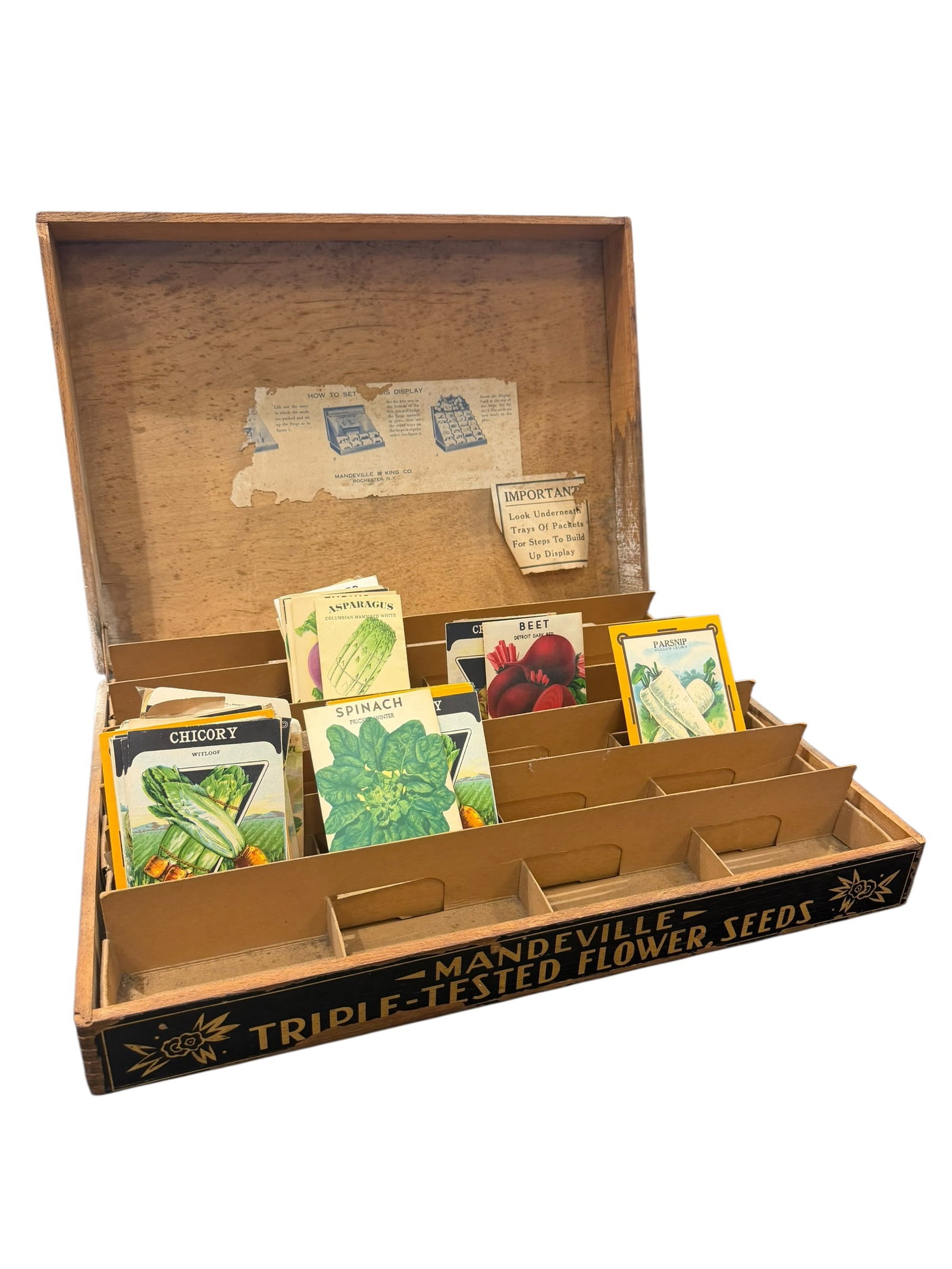 Mandeville Flower Advertising Box (1 of 6)