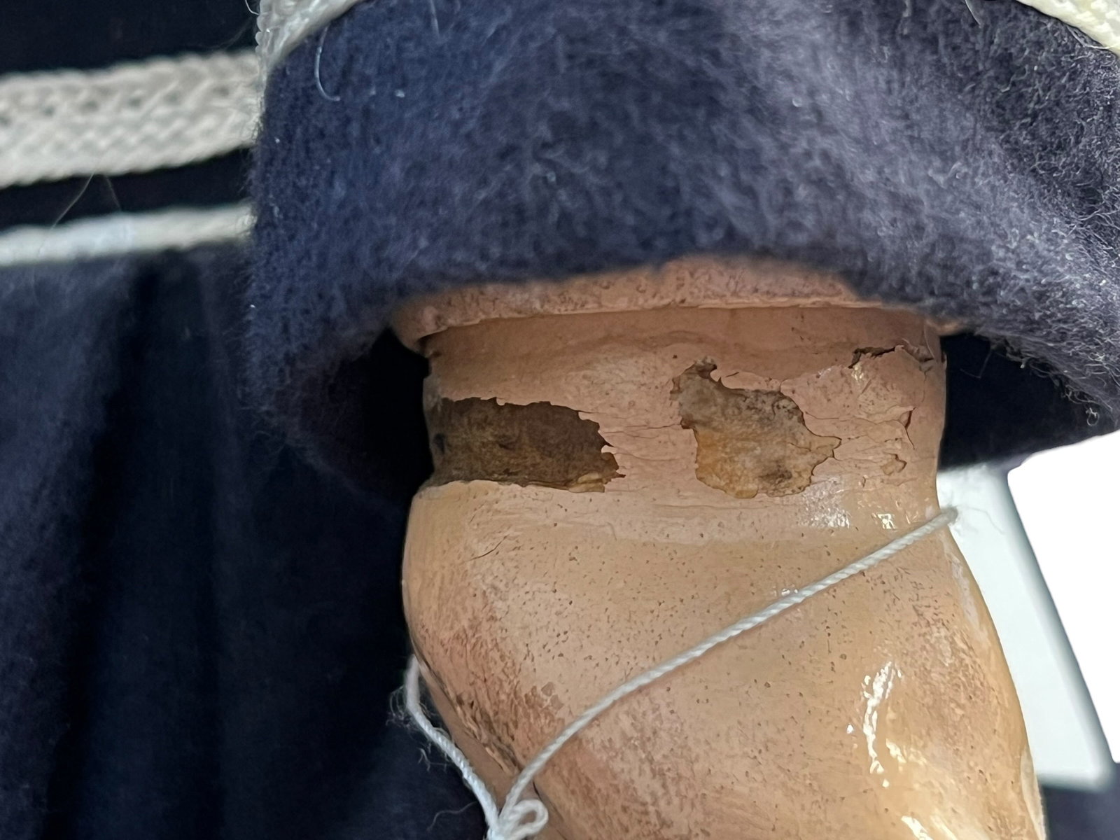 Bisque Head Doll - 5