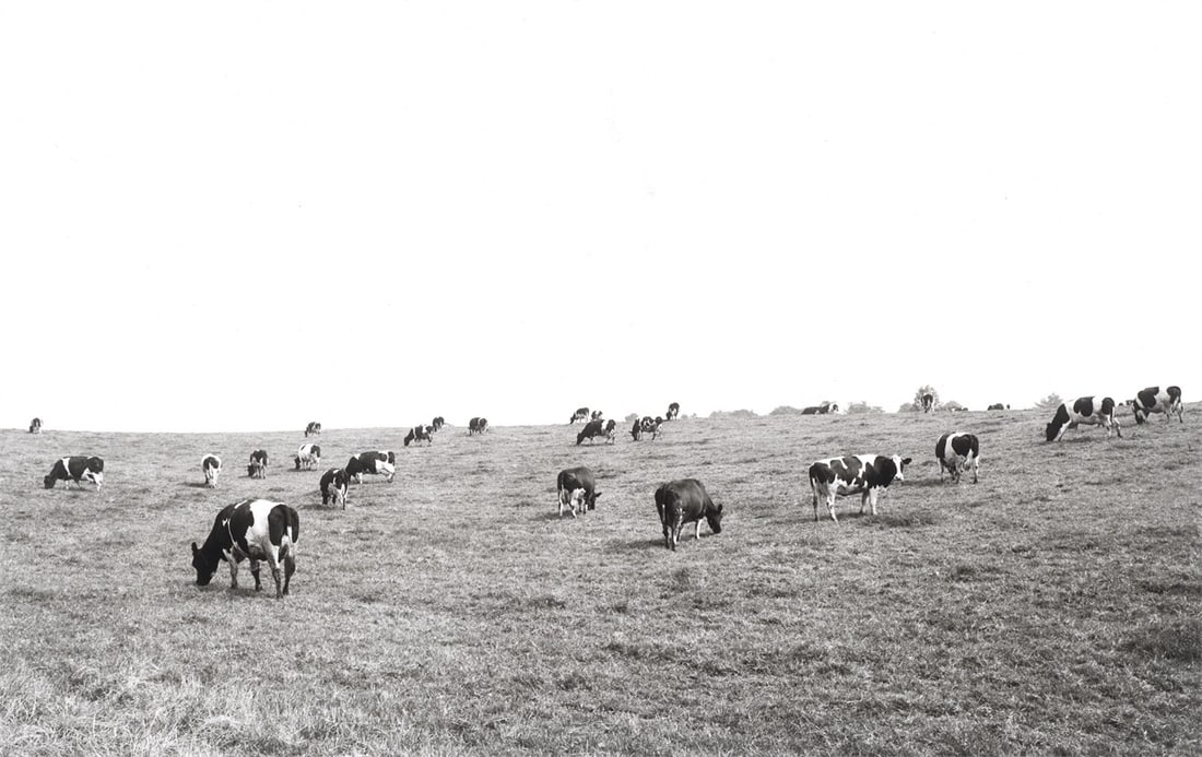 Heinrich Riebesehl. ”Klein Waabs (Schleswig – Flensburg)”, Juli 1978, from the ser: Heinrich Riebesehl (Lathen a.d. Ems 1938 – 2010 Hanover). ”Klein Waabs (Schleswig – Flensburg)”, Juli 1978, from the series ”Agrarlandschaften”, 1976–1979. 19