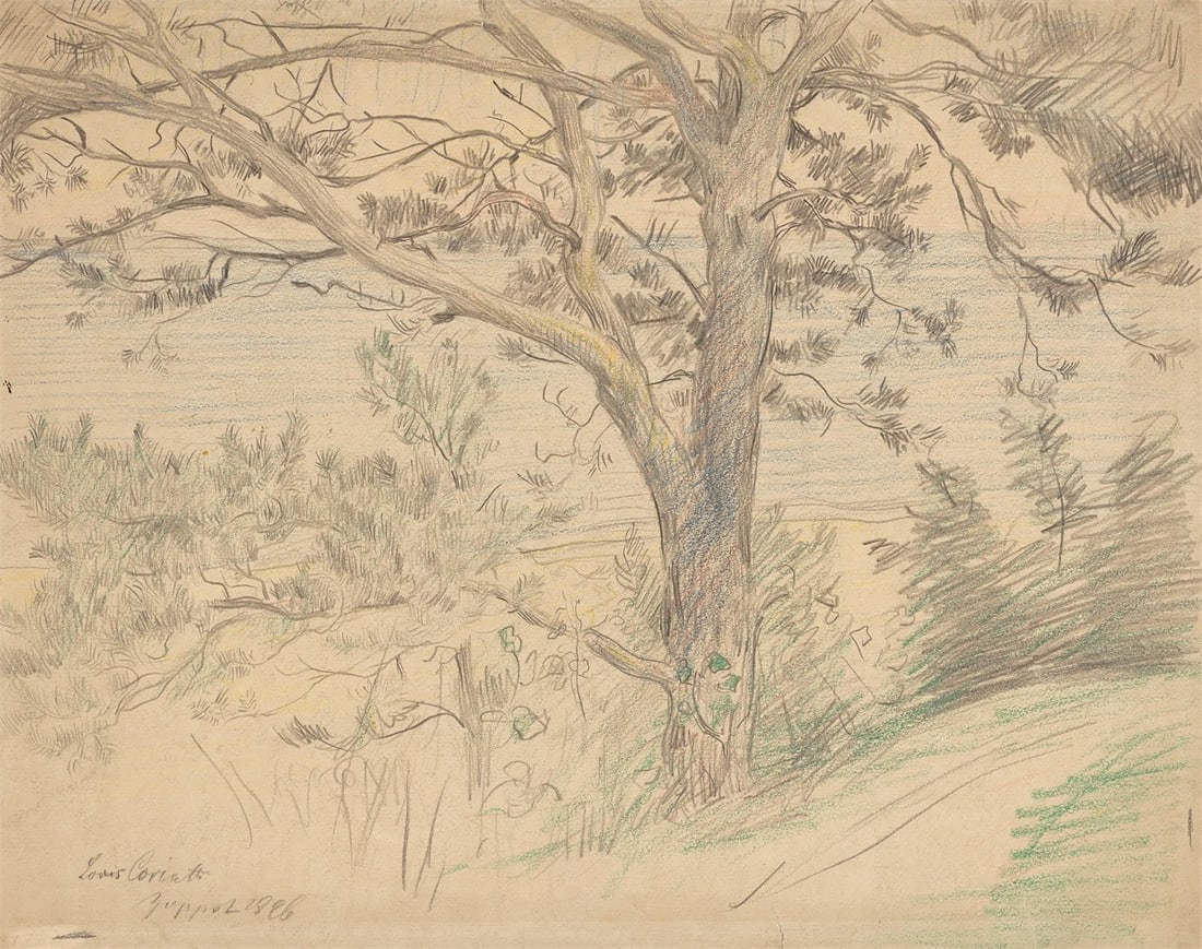 Lovis Corinth. Strandkiefer an der Ostseeküste bei Zoppot (Beach pine on the Baltic Sea coast&# (1 of 3)