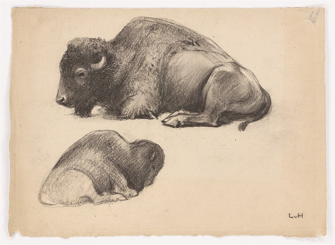 Ludwig von Hofmann. Liegender Bison in zwei Ansichten (Reclining bison in two different…. Circ - 2