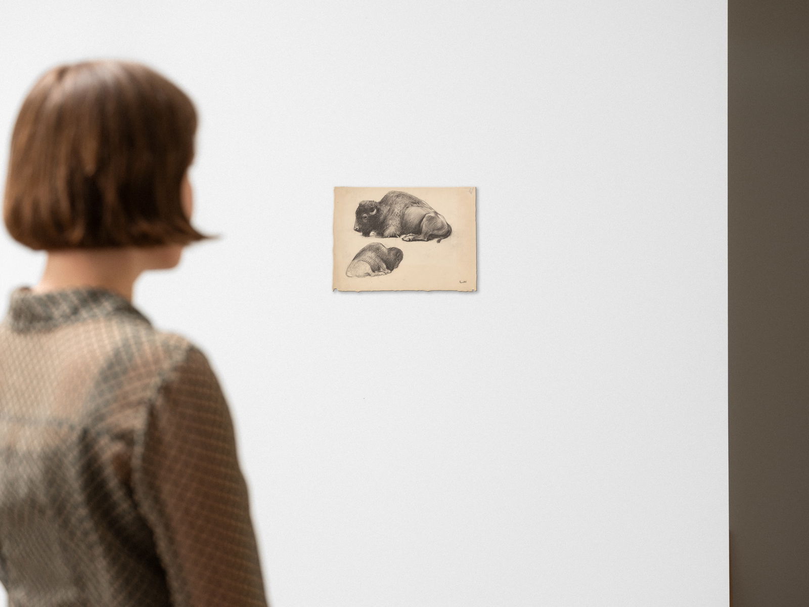 Ludwig von Hofmann. Liegender Bison in zwei Ansichten (Reclining bison in two different…. Circ - 4