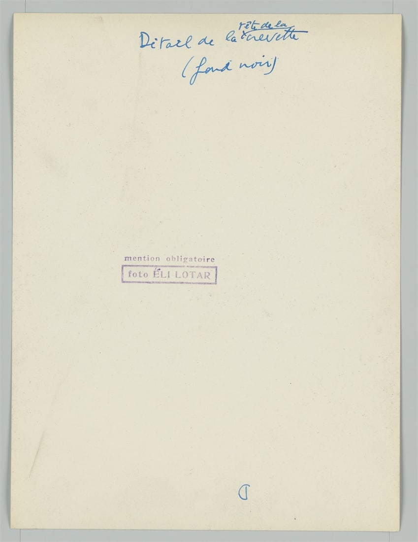 Eli Lotar. ”Détail de la tête de la crevette (fond noir)”. 1929 - 4