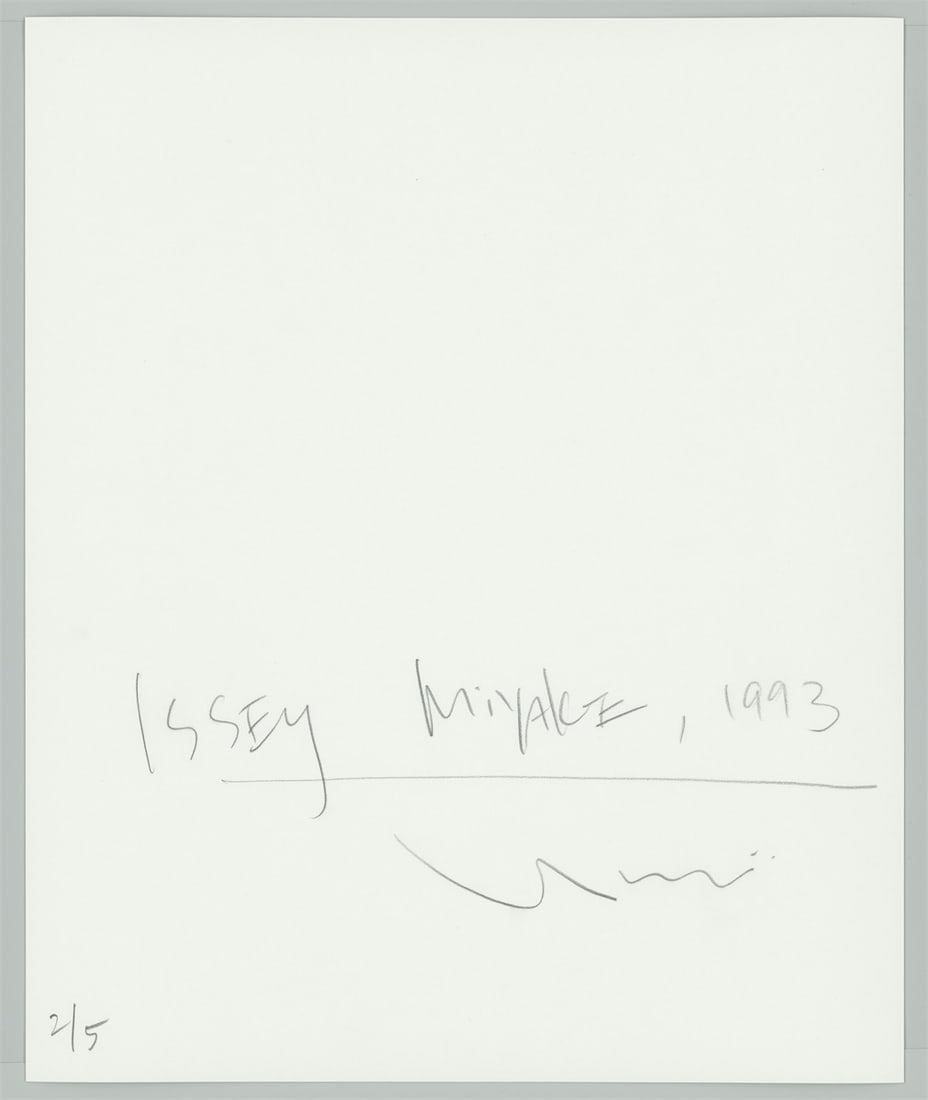 Yuriko Takagi. ”Issey Miyake". 1993 - 4