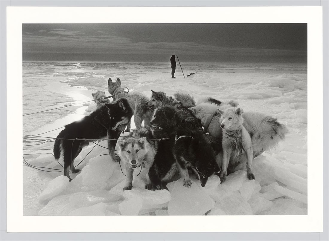 Ragnar Axelsson. ”Hunter – Greenland”. 1995 - 3