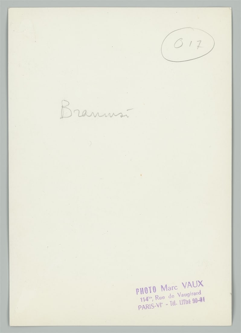 Marc Vaux. La Muse endormie de Constantin Brancusi. Circa 1960 - 3